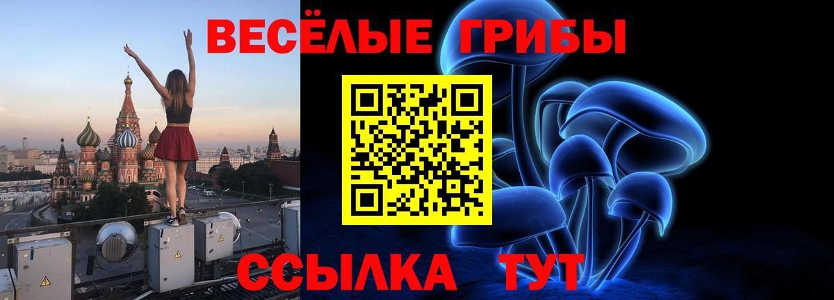 Михайловск  Галлюциногенные грибы MAGIC MUSHROOMS  Галлюциногенные грибы ЛСД  Вход с VPN 